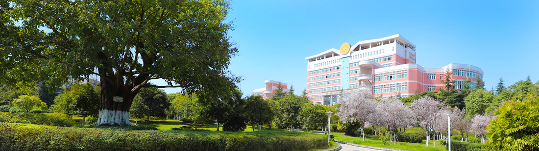 西华师范大学 我的大學