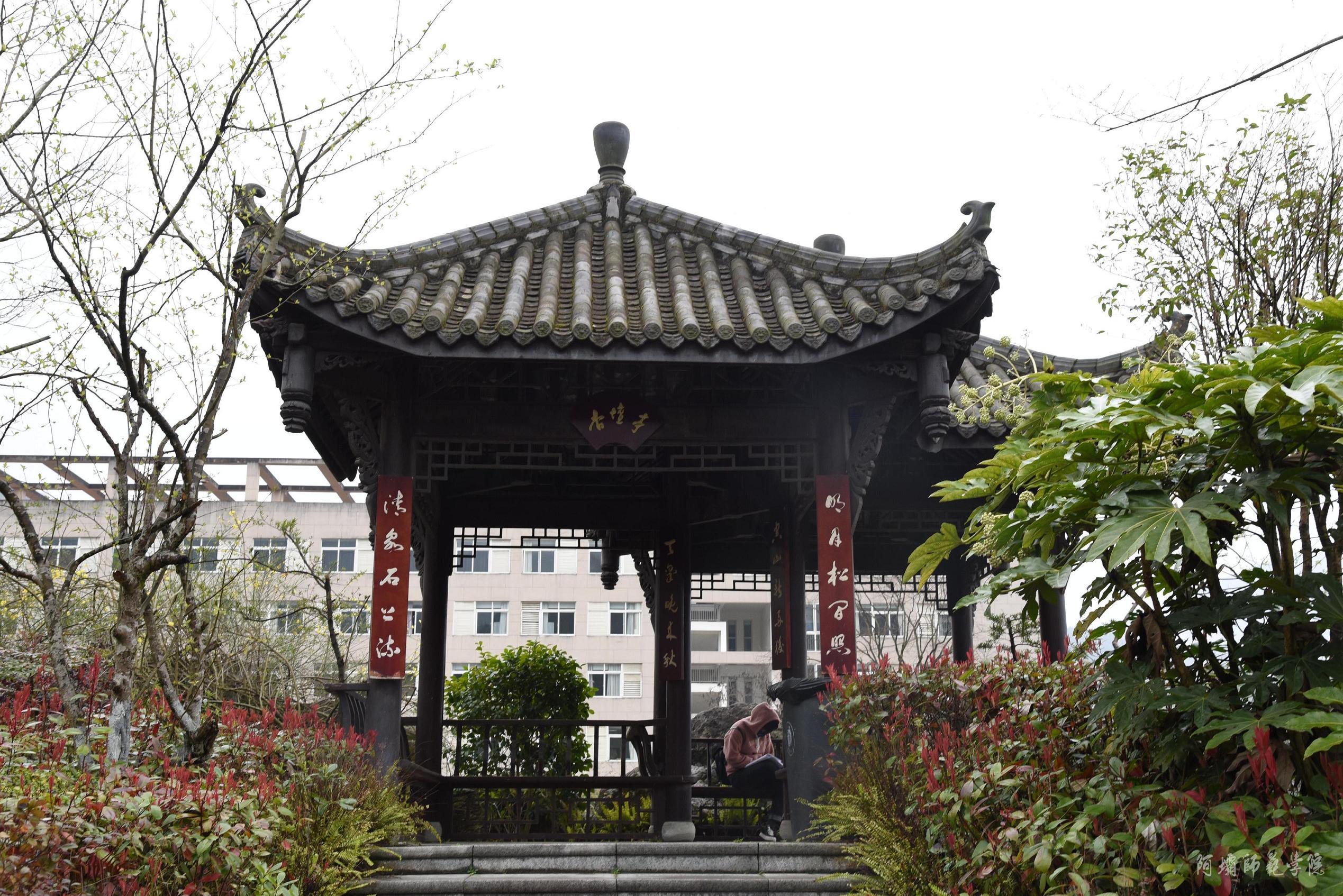 阿坝师范学院 我的大學