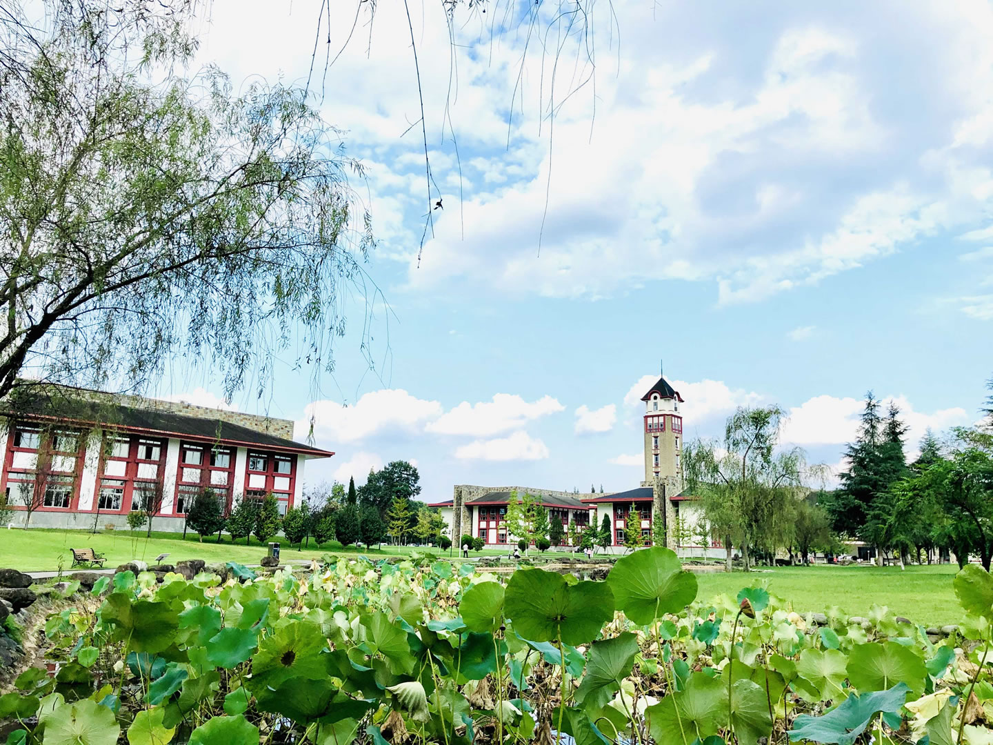 成都东软学院 - 院校概况
