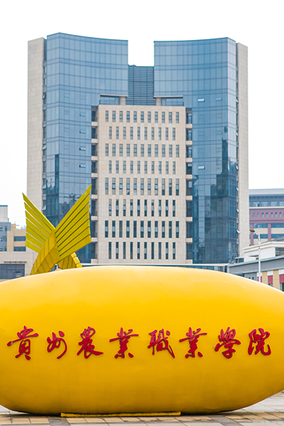 岁月流金 · 青春不散场