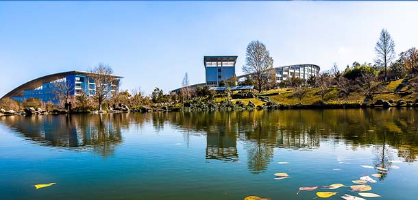 大理大学 - 流金歲月