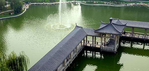 长安大学 - 流金歲月