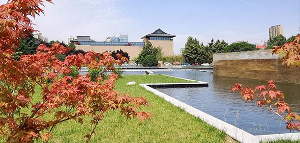 陕西师范大学 - 流金歲月