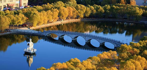 哈尔滨师范大学 - 流金歲月