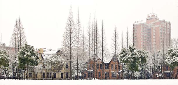 上海理工大学 - 流金歲月