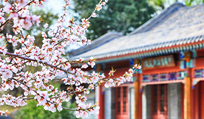 「 大學志 · 志中國 」