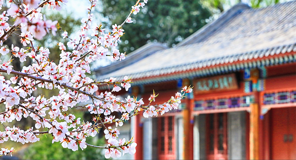 北京大学：校名题写 / 校徽设计