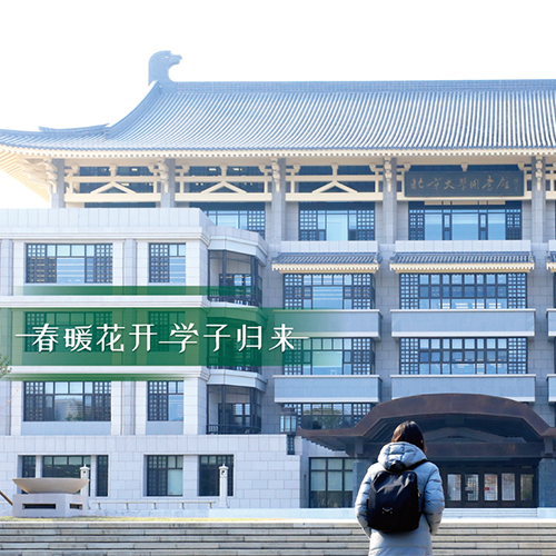 最美大學