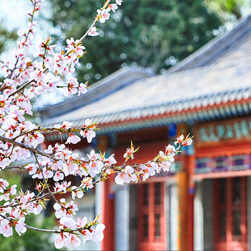 北京大学-大學简介