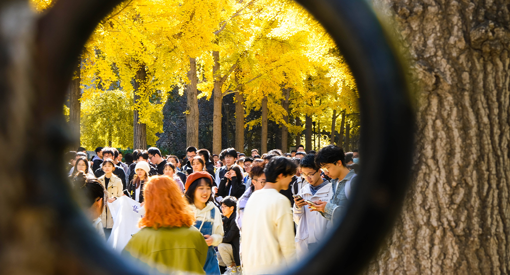 北京林业大学 流金岁月 · 致青春