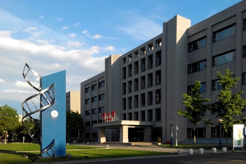 首都医科大学 早安青春