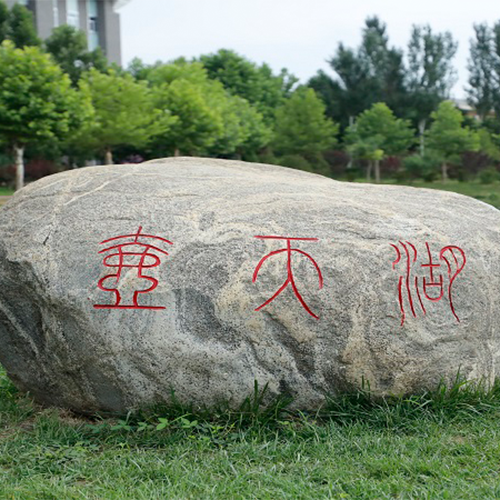 最美大學