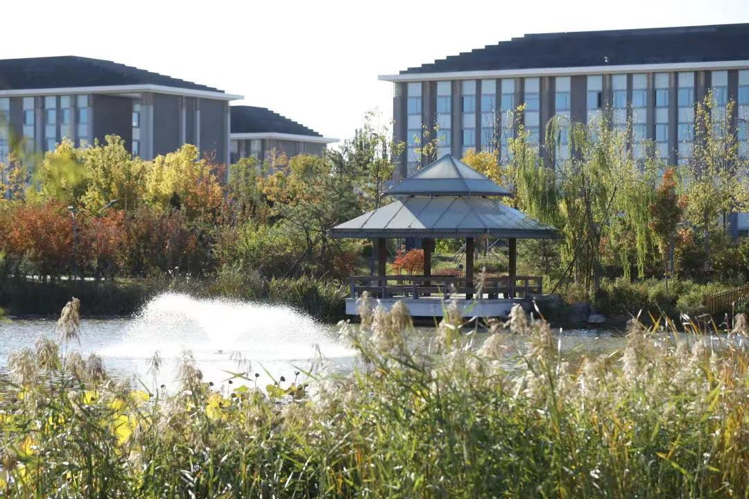 北京中医药大学 早安青春