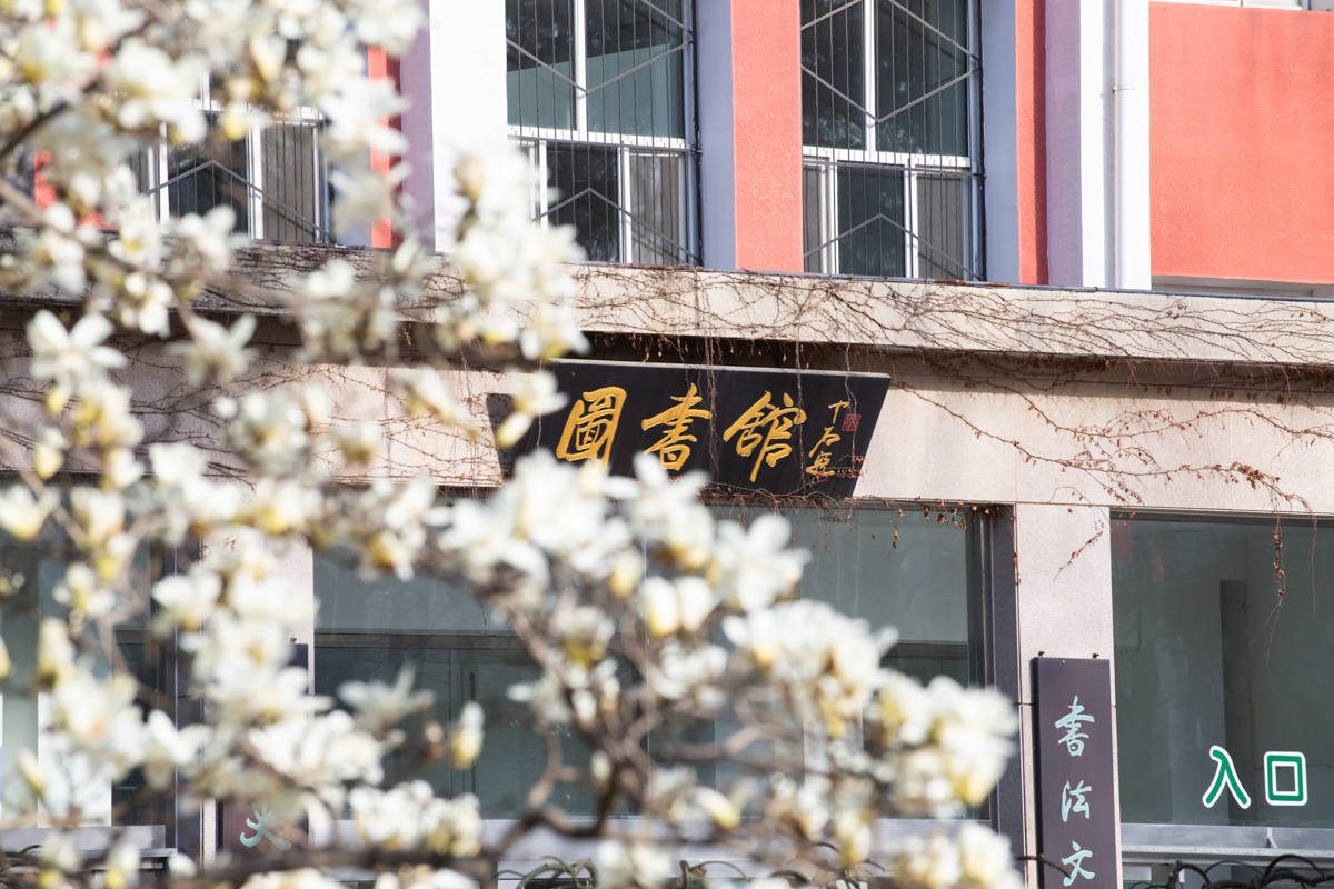 首都师范大学 我的大學