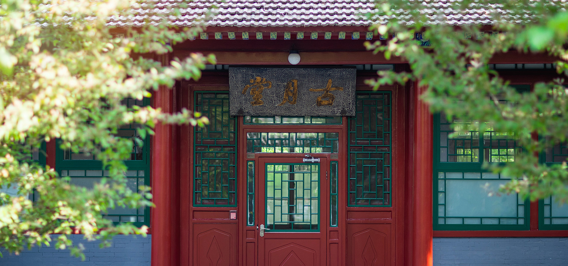 清华大学 我的大學