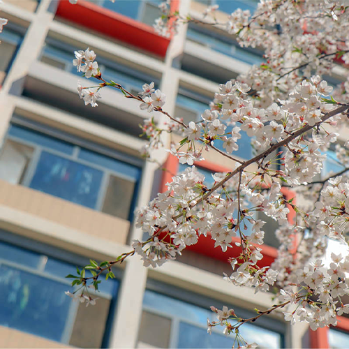大學简介
