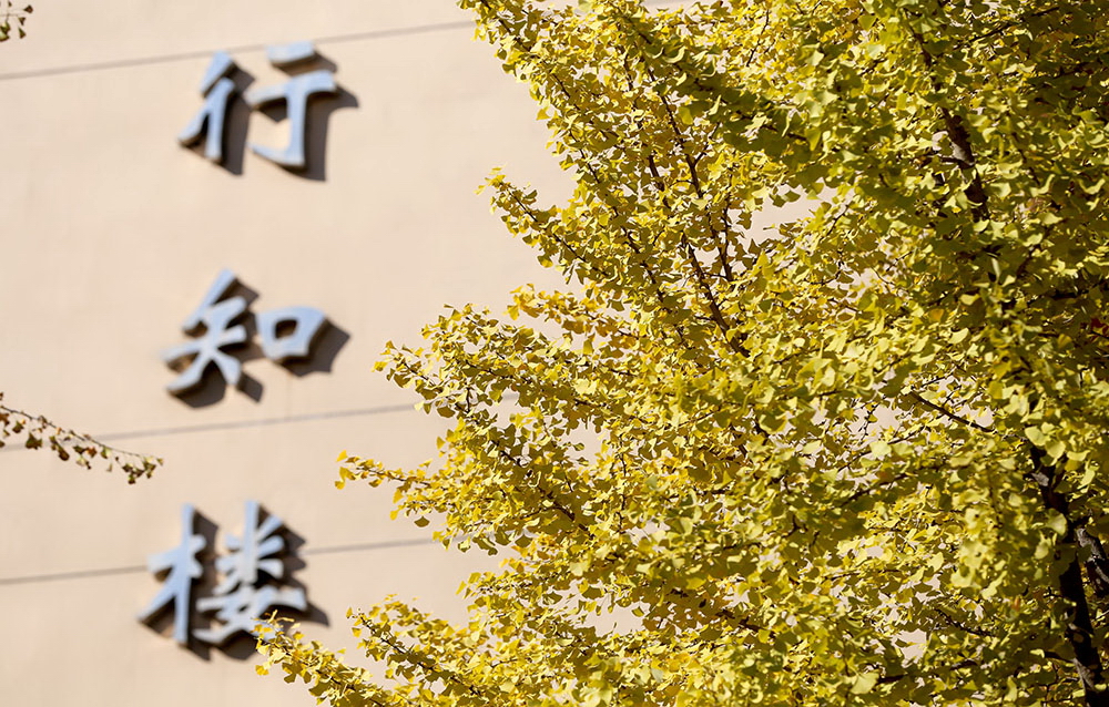 首都经济贸易大学 我的大學
