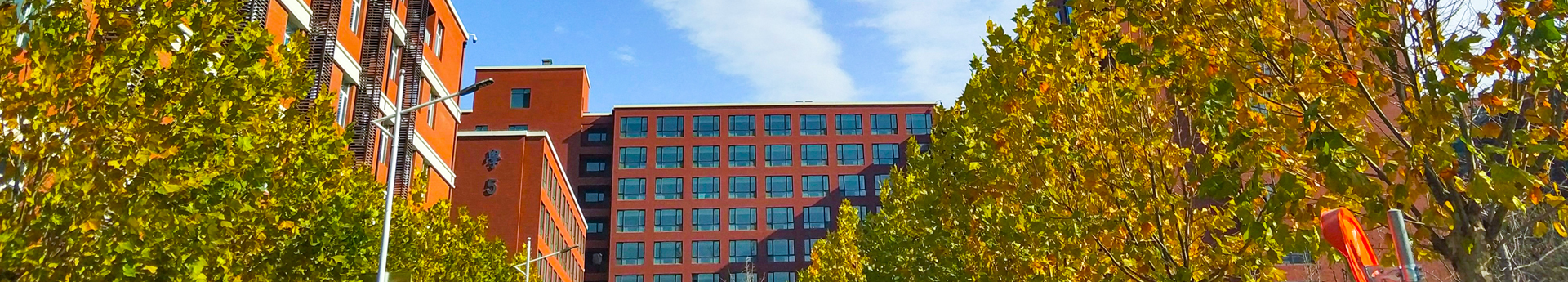中国矿业大学（北京）-校园风景