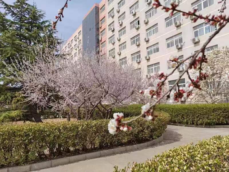 北京北大方正软件职业技术学院 我的大學