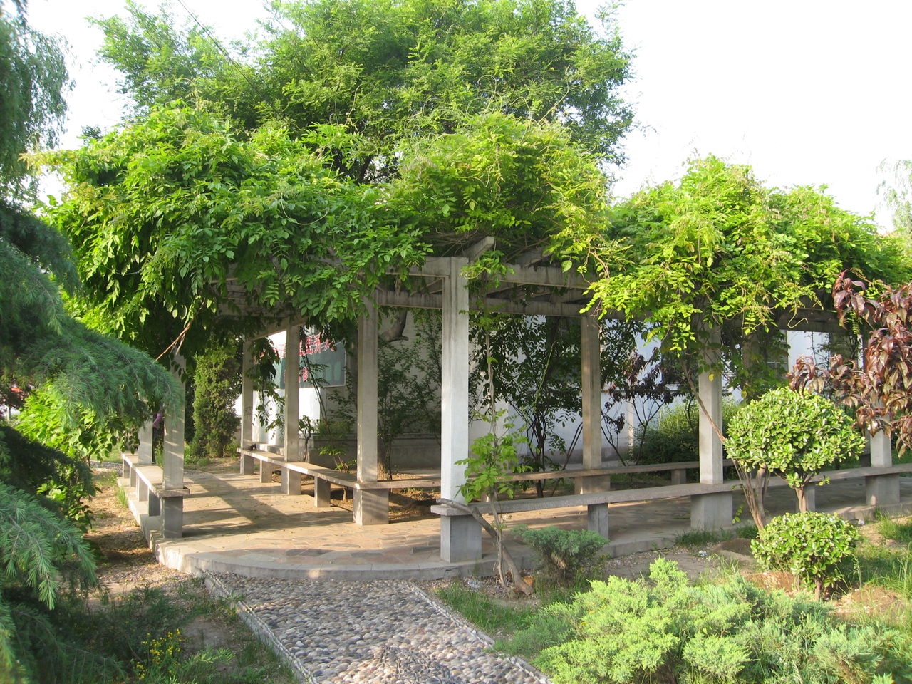 北京培黎职业学院 我的大學