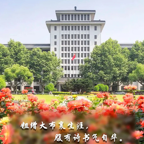岁月流金 · 青春不散场