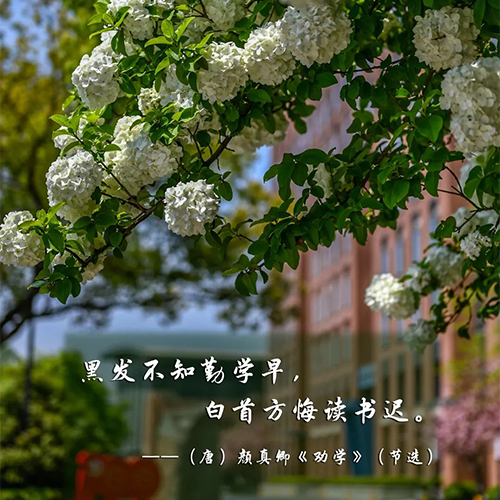 岁月流金 · 青春不散场