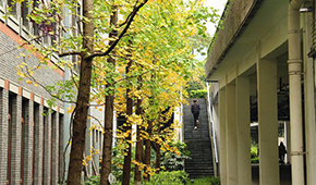 「 大學志 · 志中國 」