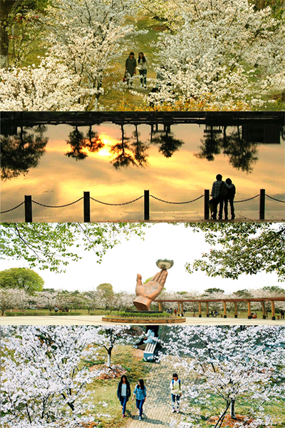 岁月流金 · 青春不散场