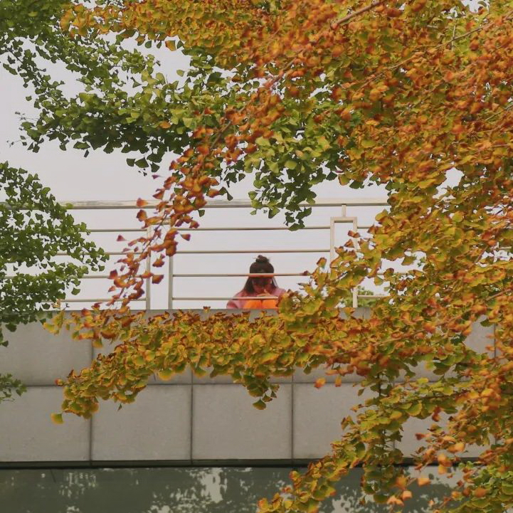 山东农业大学 早安青春