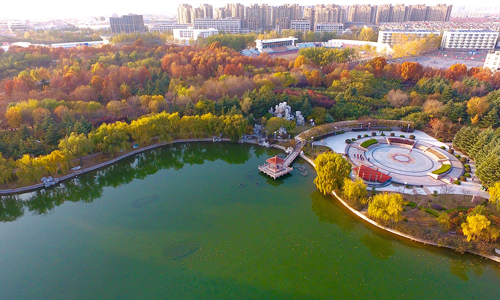 青岛农业大学 校園文化
