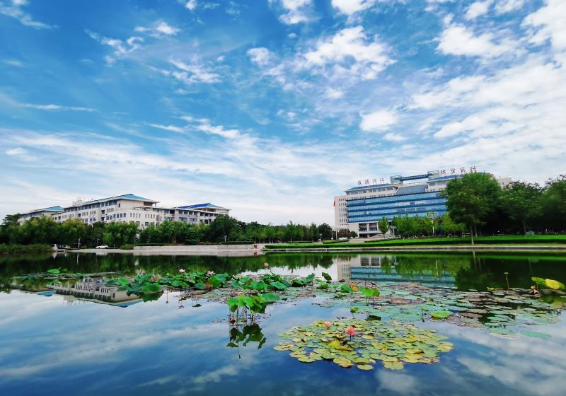 山东中医药大学 我的大學