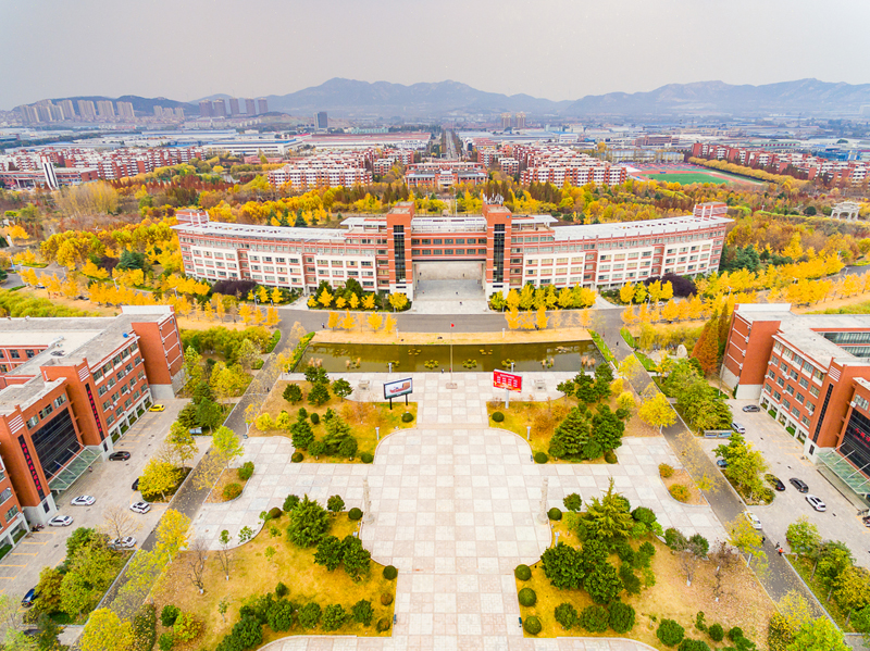 山东科技大学 早安青春
