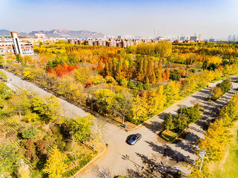 山东科技大学 我的大學