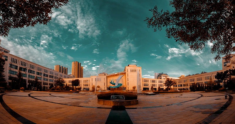 烟台大学 我的大學