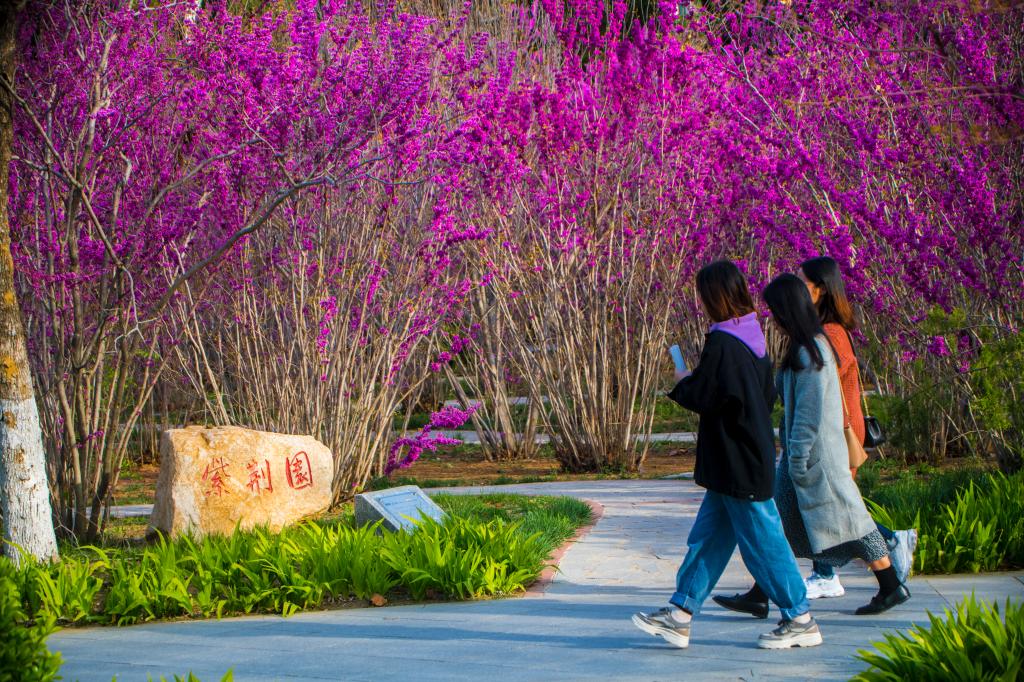 烟台大学 - 院校概况