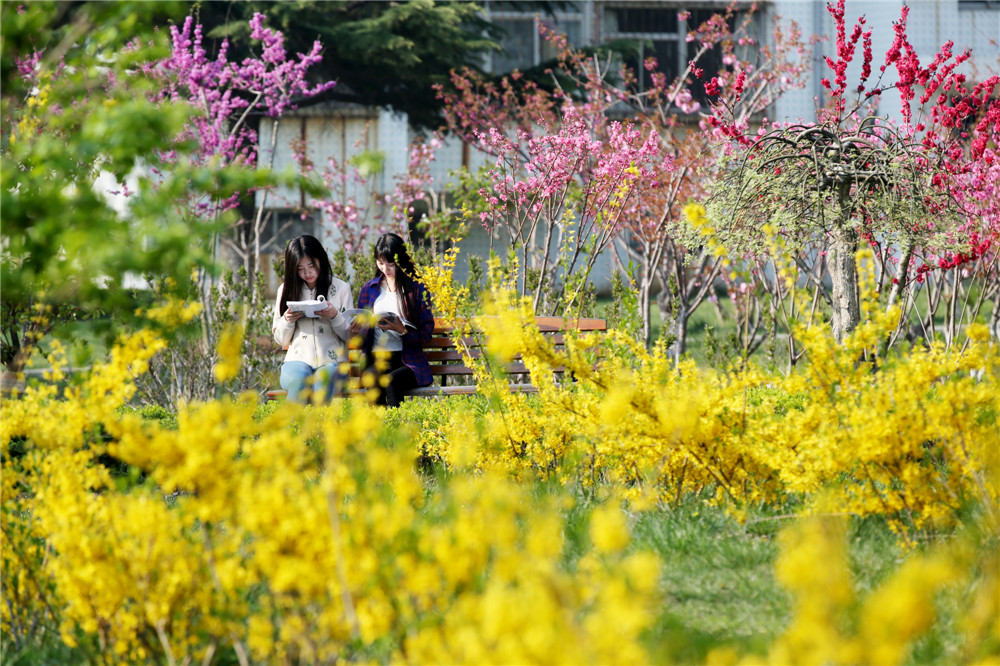 山东工商学院 早安青春