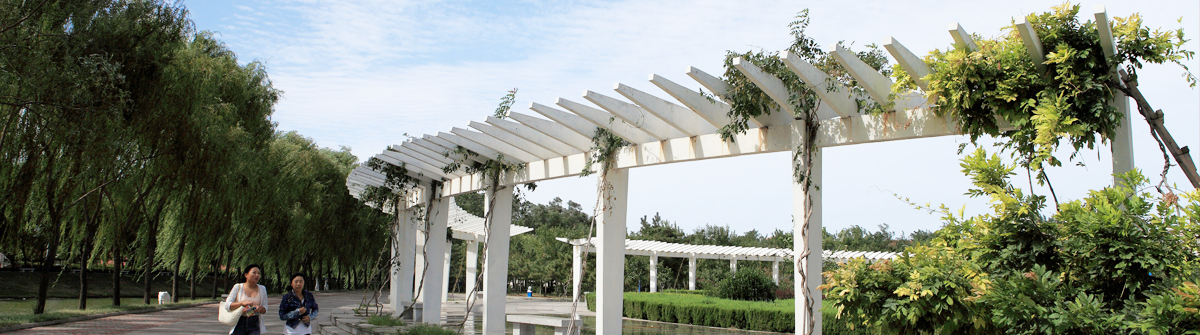 烟台南山学院 早安青春