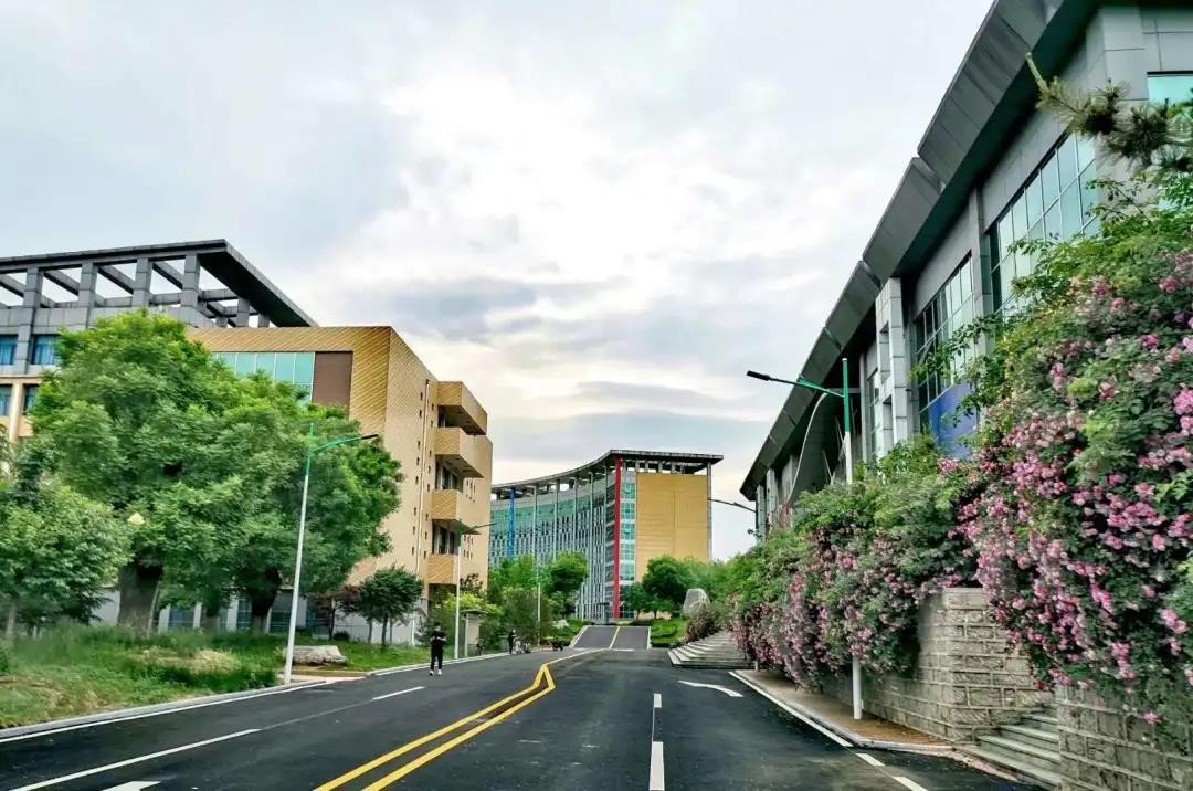 山东现代学院 早安青春