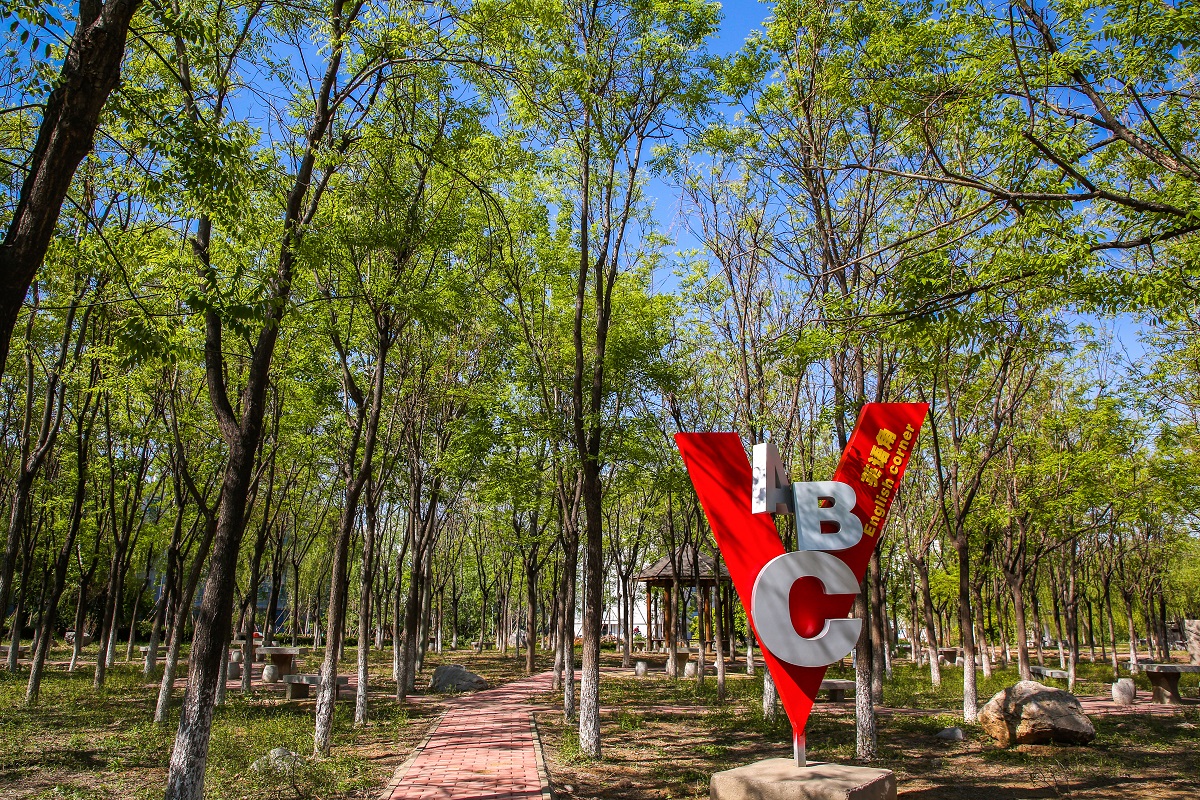 山东工程职业技术大学 我的大學