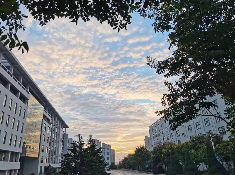 青岛工学院 早安青春