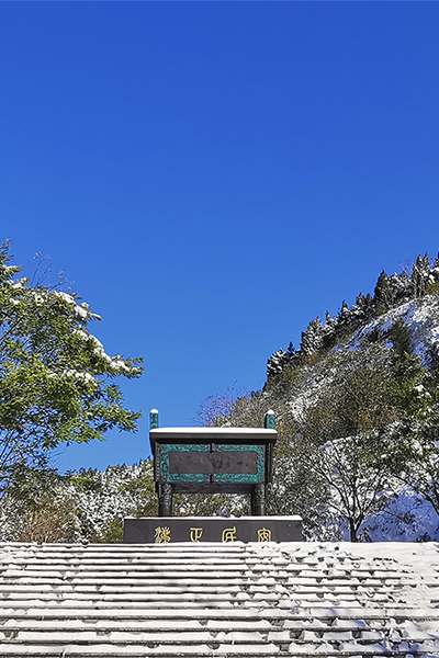 岁月流金 · 青春不散场