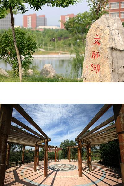 岁月流金 · 青春不散场