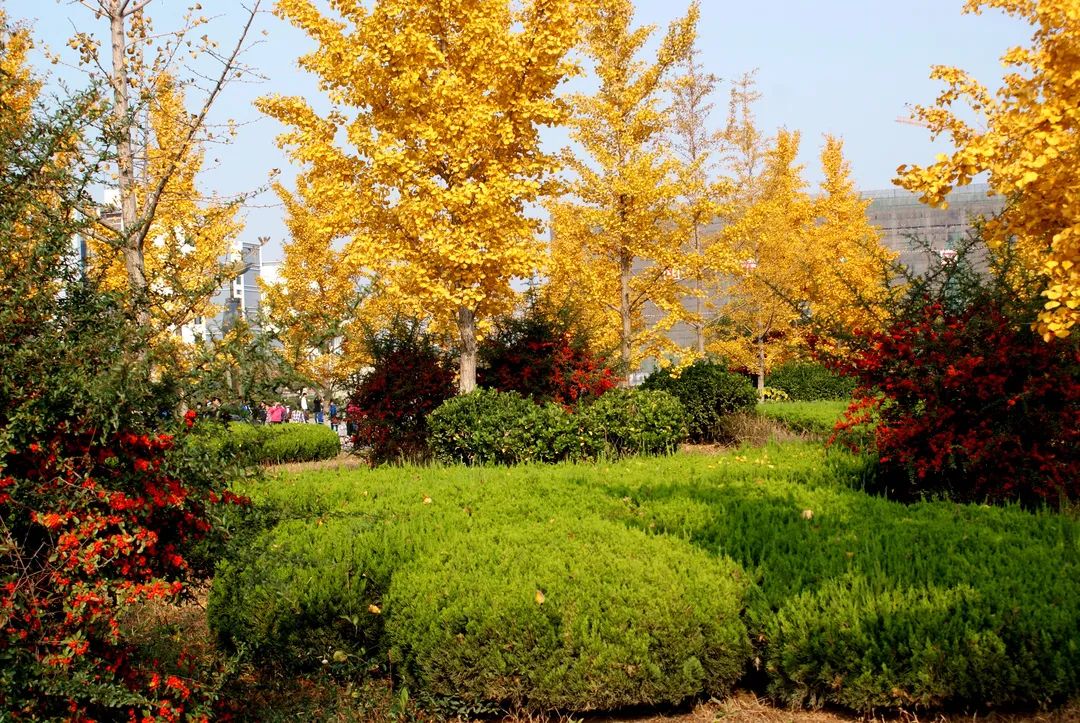 齐鲁工业大学-校园风景