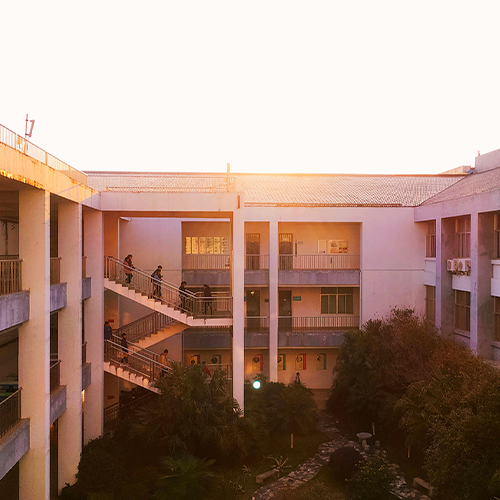 最美大學