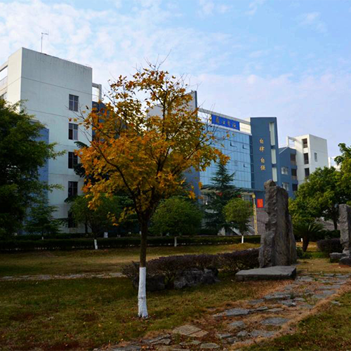 新生入学
