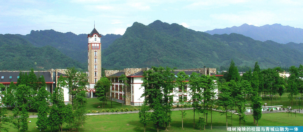 成都东软学院 我的大學