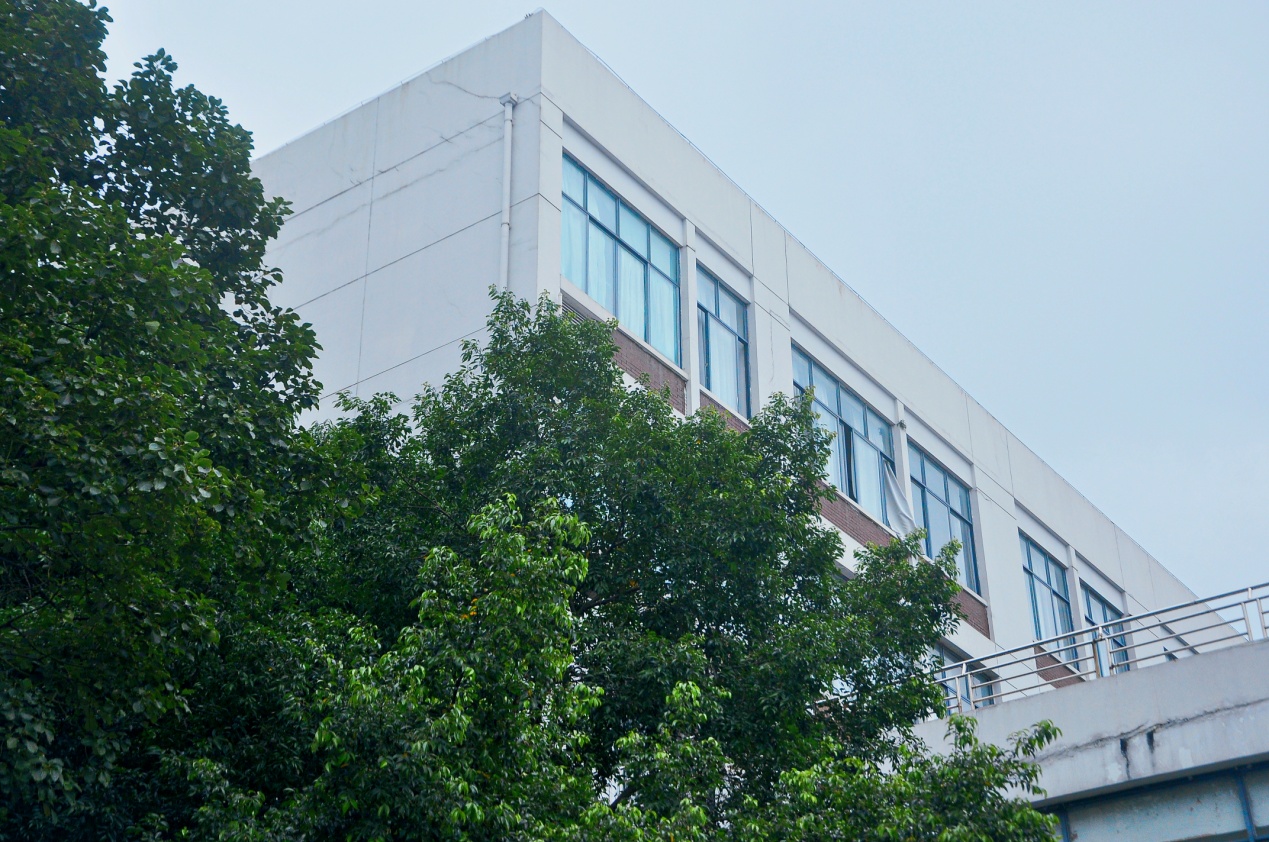 成都师范学院 我的大學