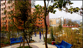 「 大學志 · 志中國 」