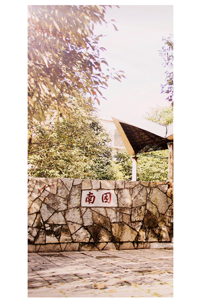 岁月流金 · 青春不散场