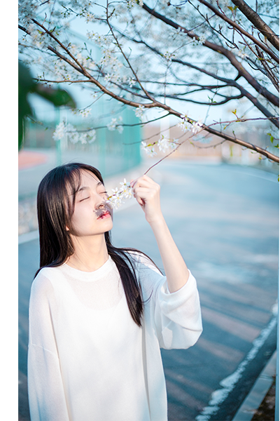 岁月流金 · 青春不散场